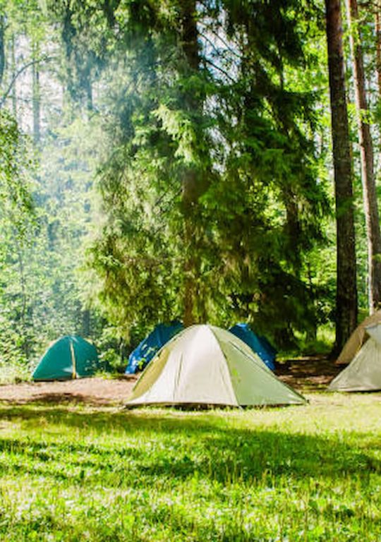5 Important Camping Advice For Newcomers